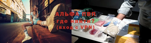 эйфоретик Новодвинск