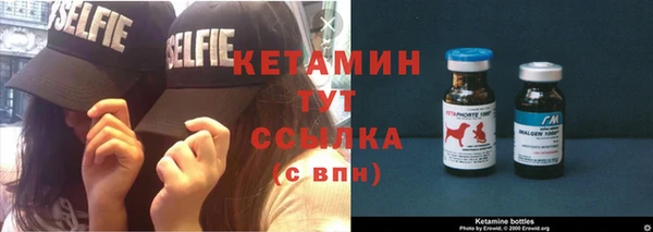 стаф Верея
