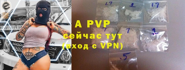 прущие грибы Нягань