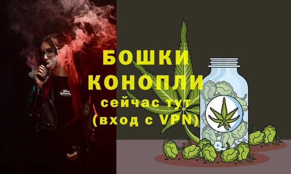 кокаин колумбия Новозыбков
