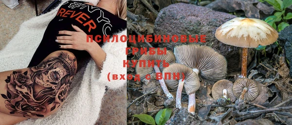 винт Новокубанск