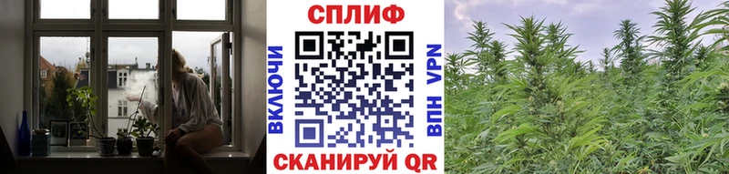 закладки  Малая Вишера  omg сайт  Канабис план 